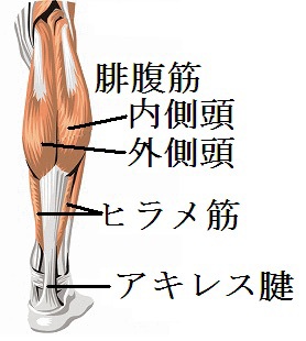 京都市西京区でふくらはぎがよくつる方は、京都中丸整体へ