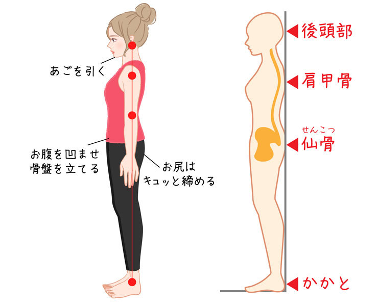 正しい立ち方のポイント4つ 院長ブログ 京都市西京区 洛西口 桂川 の整体なら京都中丸整体カイロプラクティック