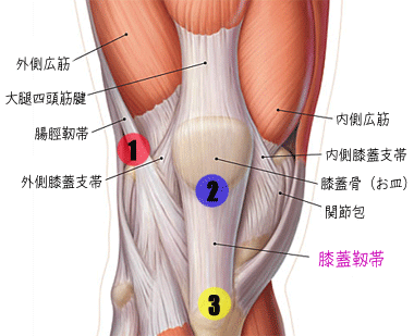 ジャンパー膝 施術について 京都市西京区 洛西口 桂川 の整体