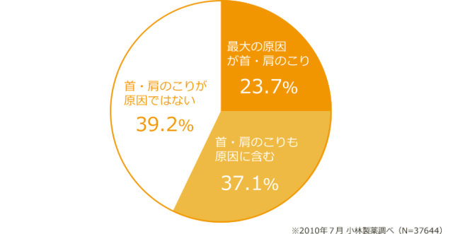 頭痛の原因調査グラフ　画像